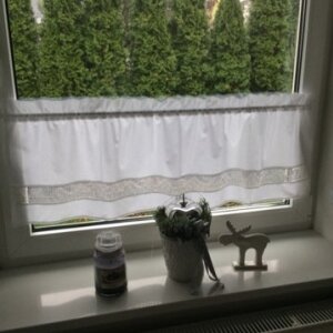 Zazdrostka "Z chaty za wsią"